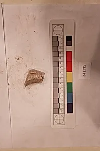 Stucco Fragment