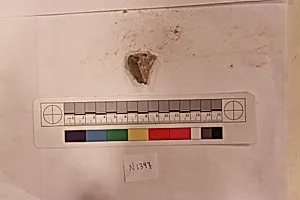 Stucco Fragment