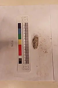 Stucco Fragment