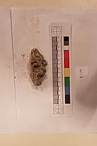 Stucco Fragment