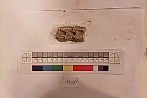 Stucco Fragment
