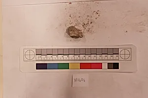Stucco Fragment