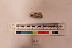 Stucco Fragment
