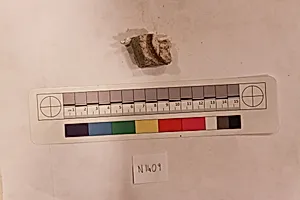 Stucco Fragment