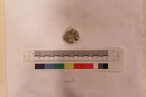 Stucco Fragment by Unknown Artist