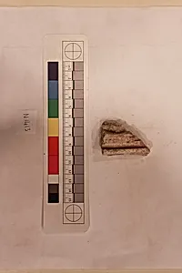 Stucco Fragment