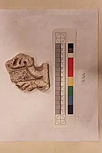 Stucco Fragment