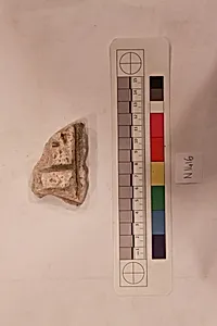Stucco Fragment
