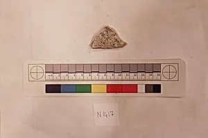 Stucco Fragment