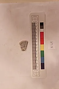 Stucco Fragment