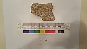 Stucco Fragment