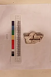 Stucco Fragment
