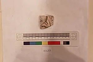 Stucco Fragment