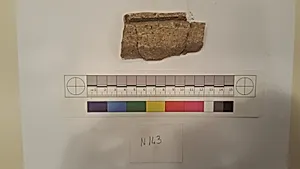 Stucco Fragment