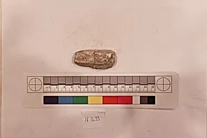 Stucco Fragment