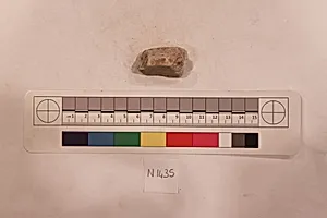 Stucco Fragment
