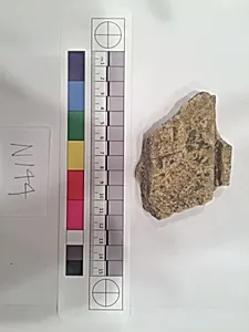 Stucco Fragment