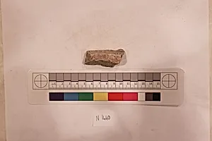 Stucco Fragment