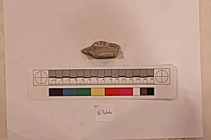 Stucco Fragment