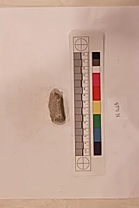 Stucco Fragment by Unknown Artist