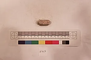 Stucco Fragment by Unknown Artist