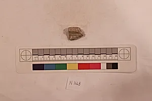 Stucco Fragment
