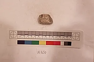 Stucco Fragment