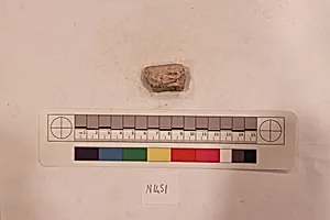 Stucco Fragment