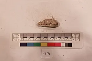 Stucco Fragment by Unknown Artist