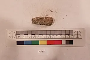 Stucco Fragment by Unknown Artist