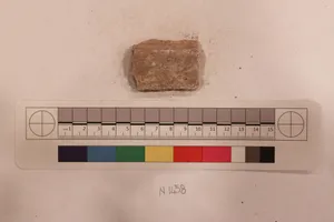 Stucco Fragment