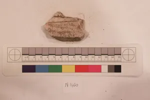 Stucco Fragment by Unknown Artist