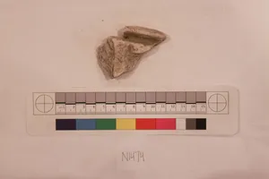 Stucco Fragment by Unknown Artist
