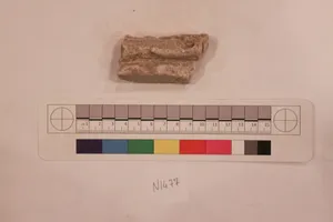 Stucco Fragment by Unknown Artist