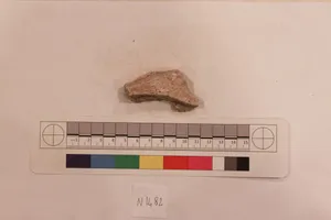 Stucco Fragment by Unknown Artist