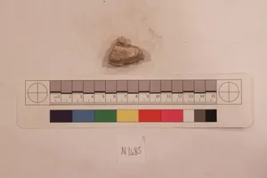 Stucco Fragment by Unknown Artist