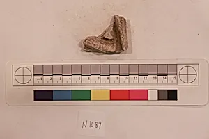 Stucco Fragment