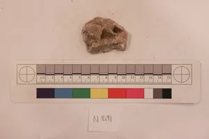 Stucco Fragment by Unknown Artist