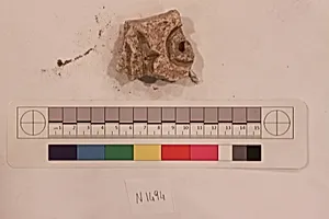 Stucco Fragment