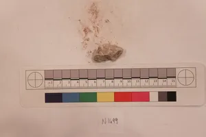 Stucco Fragment by Unknown Artist