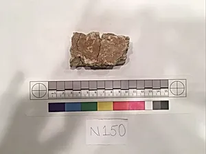 Stucco Fragment