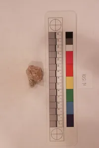 Stucco Fragment