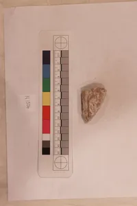 Stucco Fragment by Unknown Artist