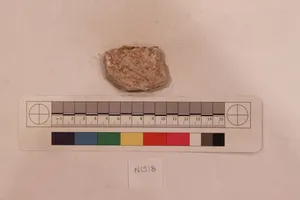 Stucco Fragment by Unknown Artist