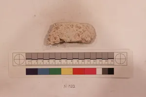 Stucco Fragment by Unknown Artist