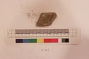 Stucco Fragment