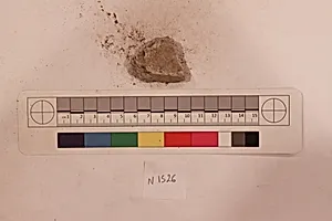 Stucco Fragment