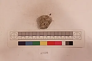 Stucco Fragment