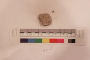 Stucco Fragment by Unknown Artist