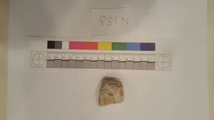 Stucco Fragment by Unknown Artist